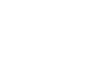 Grupo Puma Abanderado